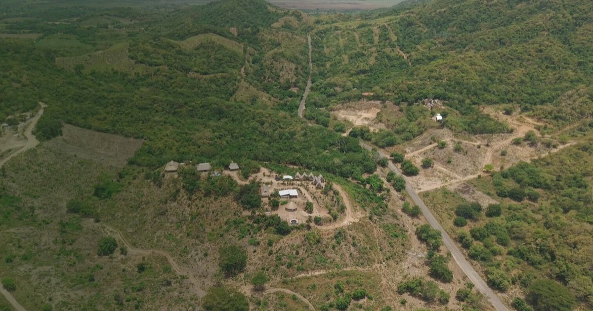 Vista aérea de Rancho de las Estrellas, con casas de palapa entre el bosque y el camino pavimentado de acceso.